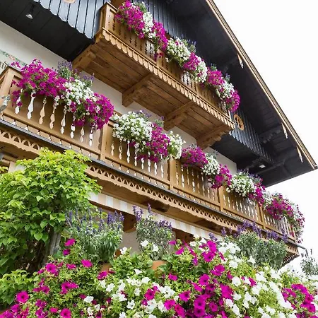 Apartament Theresa